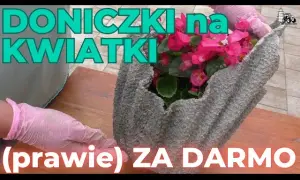 Donice DIY: Taniej o 70%! Stwórz unikalny ogród krok po kroku