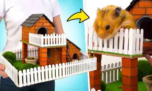 Bezpieczny domek dla chomika z kartonu? Poradnik DIY krok po kroku.