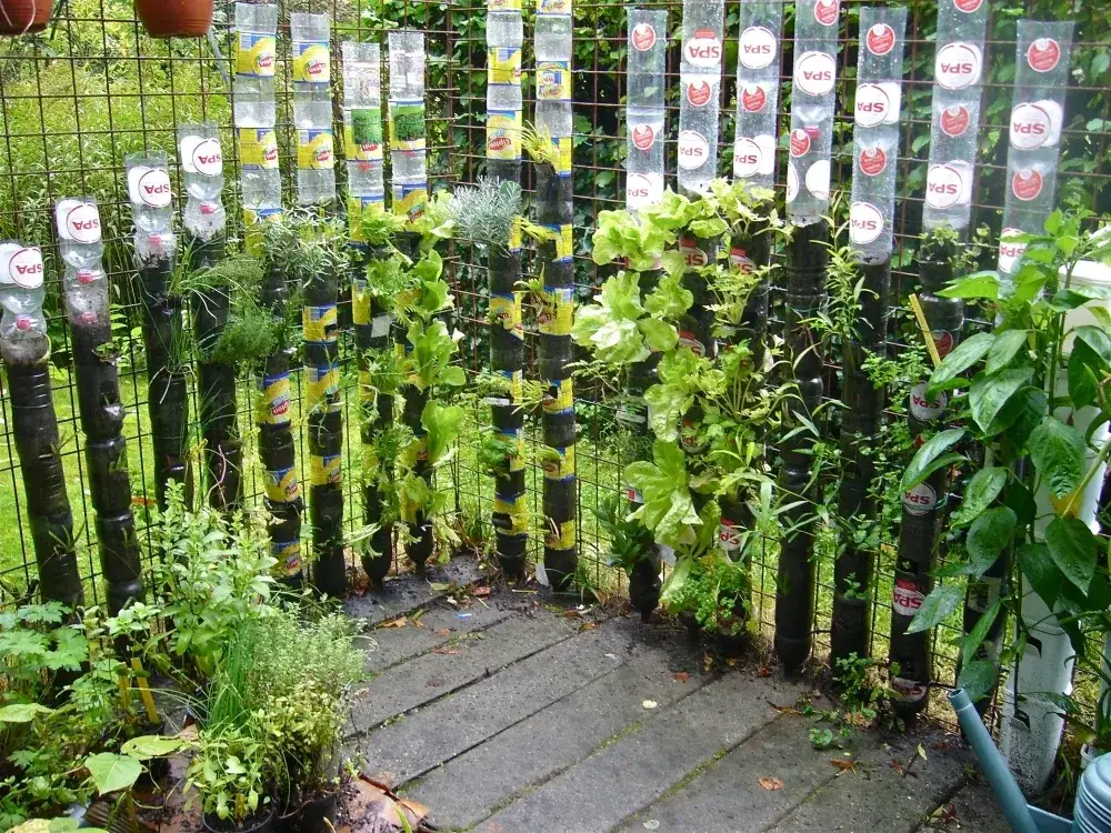 DIY pionowy ogród z butelek PET, samonawadniające doniczki z butelek